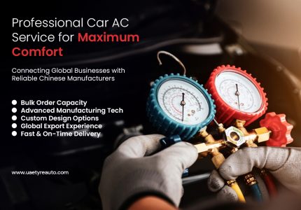 Stay Cool with Professional Car AC Services!