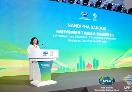 来自南非官方的采购需求——充电桩
